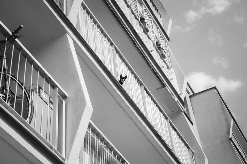 Can You Hear That? What Rental Listings Aren't Telling You About Noise